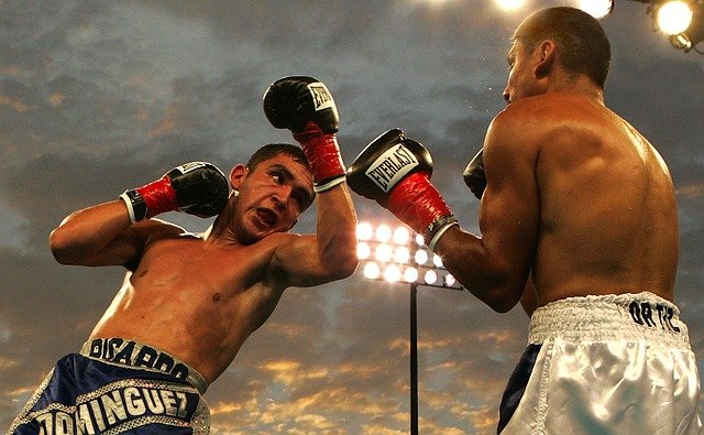 boxing skyfox