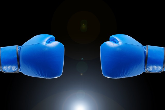 boxing skyfox