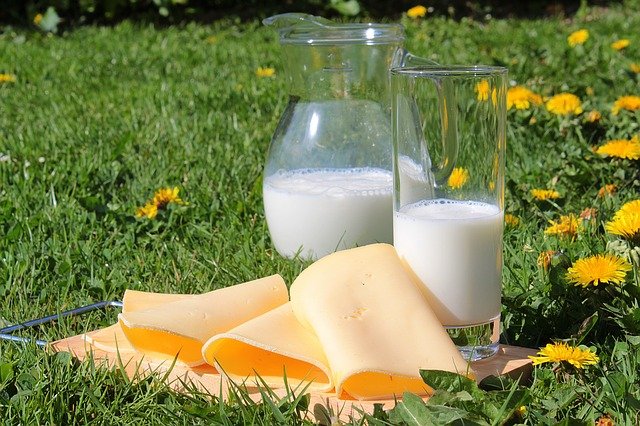 Say Cheese ! The Origin Of Cheese