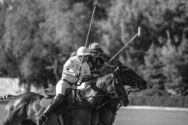polo sport