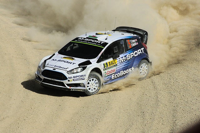 wrc rally car