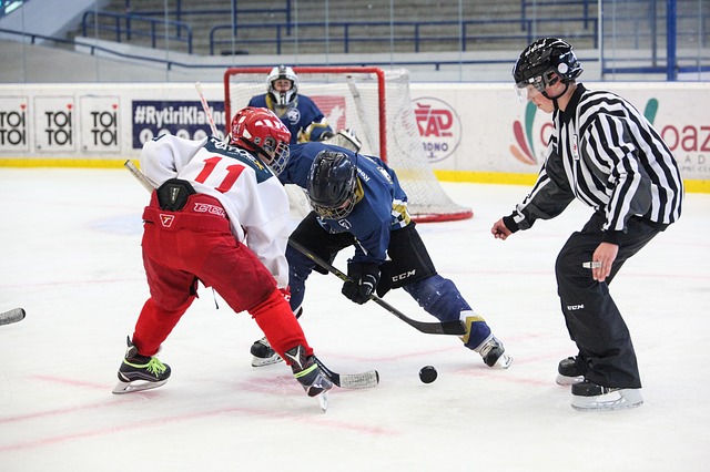 brief summary of hockey