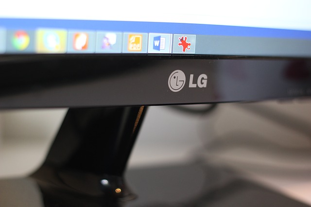 overview of lg company