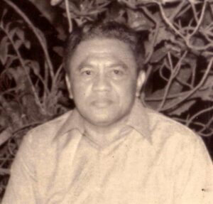 Serangan Balasan 1947