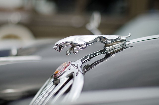The Timeline Of Jaguar Car Company