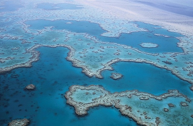 The Great Barrier Reef 20 Spectacular Facts