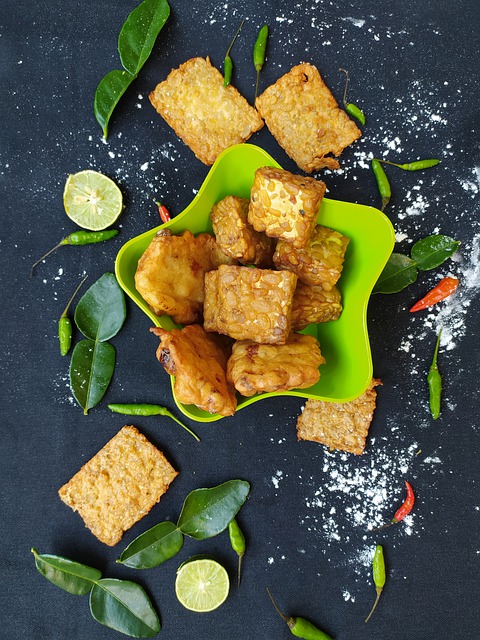 Asal Usul Tempe Dan Perkembangannya