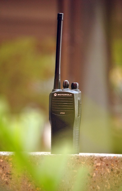 Great Innovations Of Motorola Company