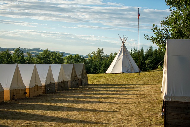 A Brief Timeline Of Scout Movement