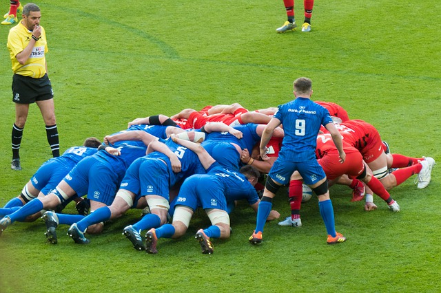All You Need To Know About Rugby