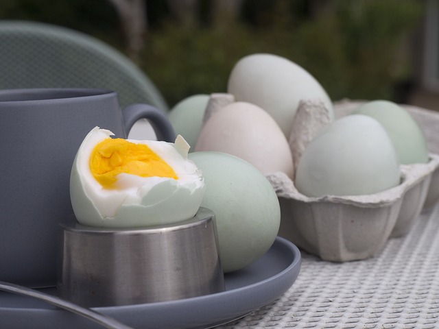 5 Fakta Unik Seputar Telur Asin : Dari Makanan Tradisional Hingga Kekinian