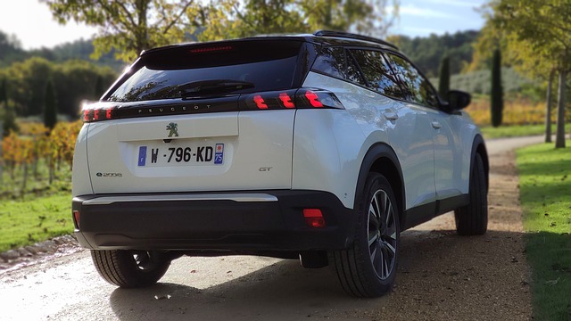 A Very Long Journey Of Peugeot Automobile