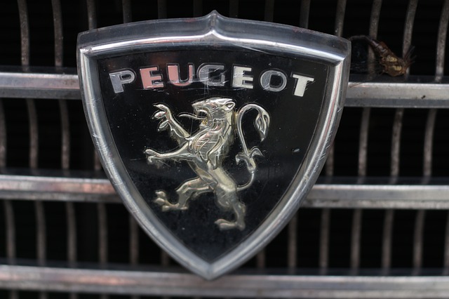 A Very Long Journey Of Peugeot Automobile