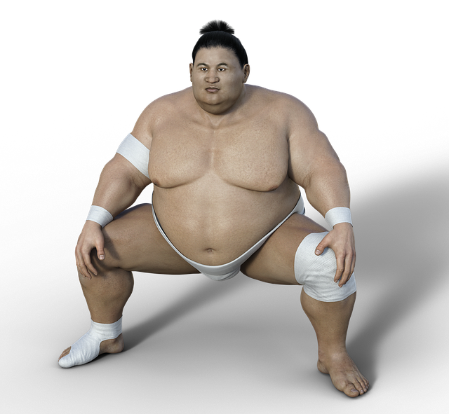 Sumo Wrestling History : Not Just A Common Sport
