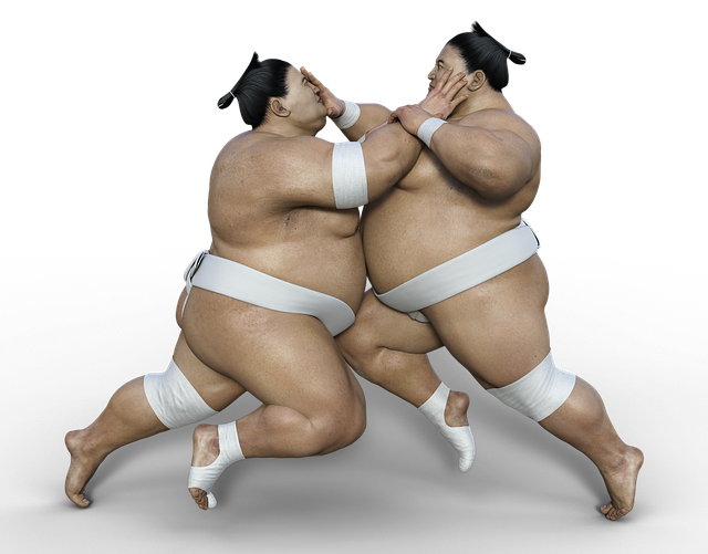 Sumo Wrestling History : Not Just A Common Sport