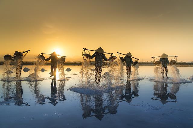 Taste The Long History Of Salt