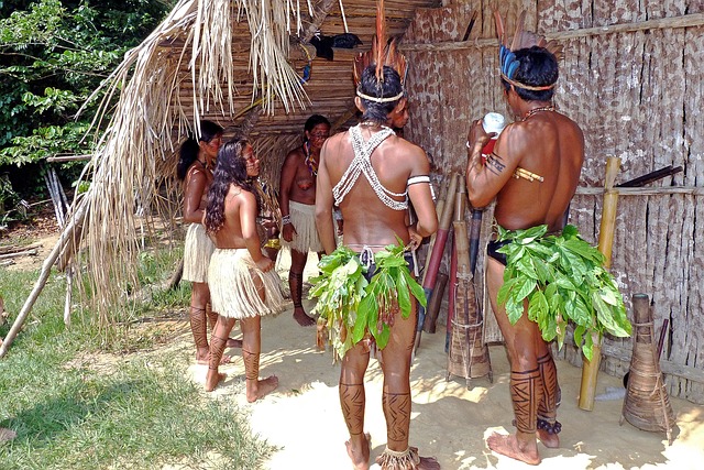 The Amazing Amazon Rainforest