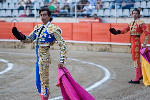 La Fiesta Brava : A Story Of Matador