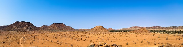 Dry World : The Five Largest Deserts