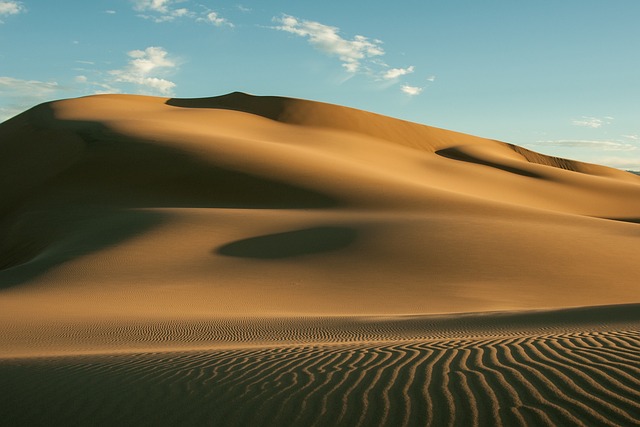 Dry World : The Five Largest Deserts