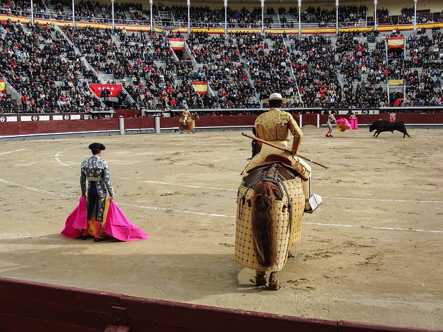La Fiesta Brava : A Story Of Matador