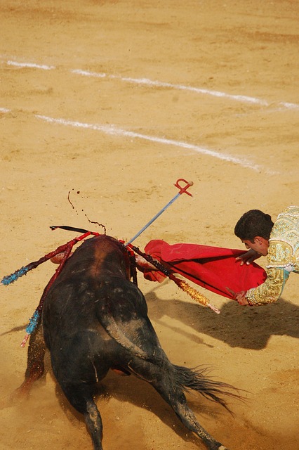 La Fiesta Brava : A Story Of Matador