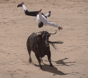 La Fiesta Brava : A Story Of Matador