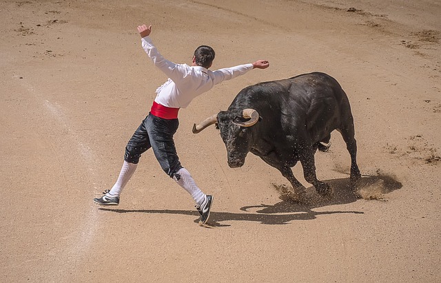 La Fiesta Brava : A Story Of Matador