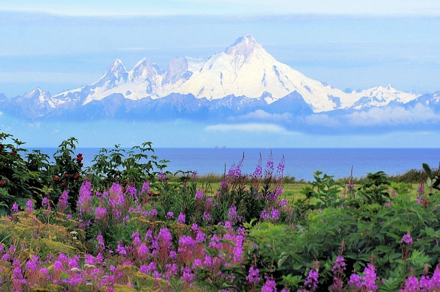 Alaska : A Land Of Seafood And Midnight Sun