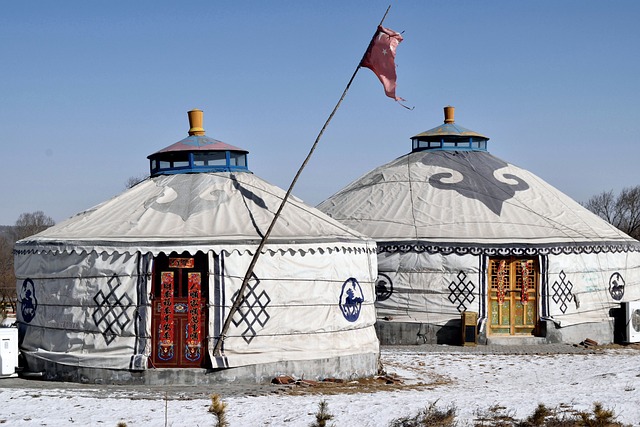 The Rise And Fall Of Mongolia History