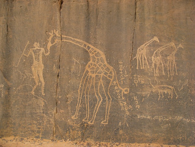 The Evolution Of Data Storage Media: From Cave Paintings To Cloud Storage