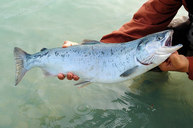 Alaska : A Land Of Seafood And Midnight Sun
