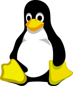 A Simple Introduction To Linux OS